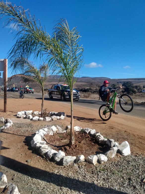 Coyote Cal's Beach Resort, Baja Hostel