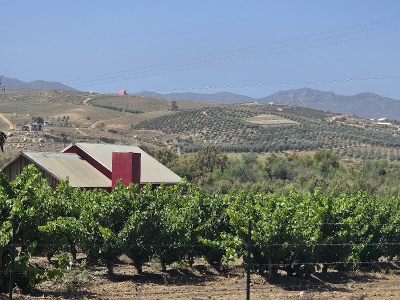 Hotel Boutique Los Viñedos