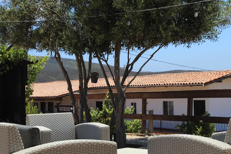 Viñas del Castillo Hotel Boutique & Vinícola