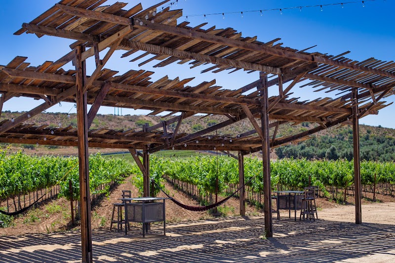 Vinicola Castillo Ferrer