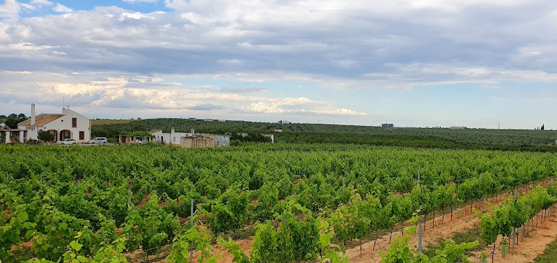 Bodega y viñedo ecológico Dehesa Del Zarco