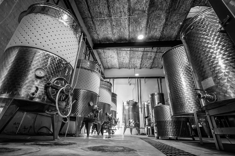Escuela de Vino (Bodega de Producción)