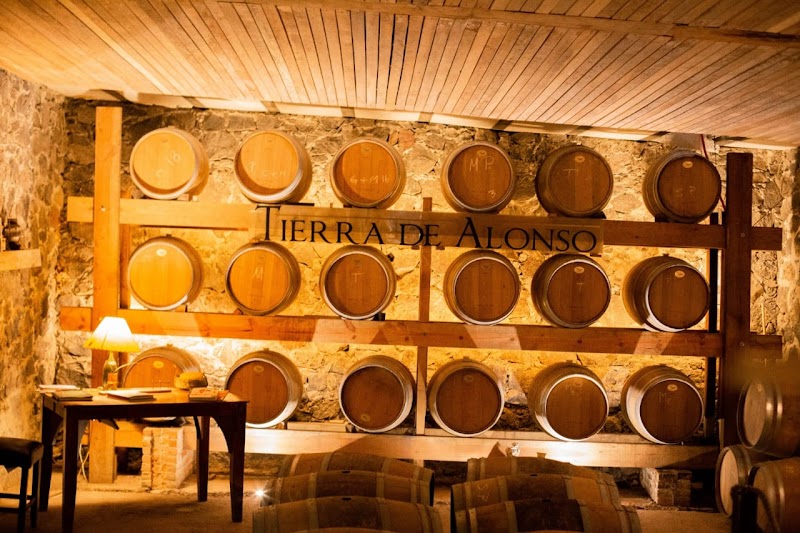 Viñedo Tierra De Alonso