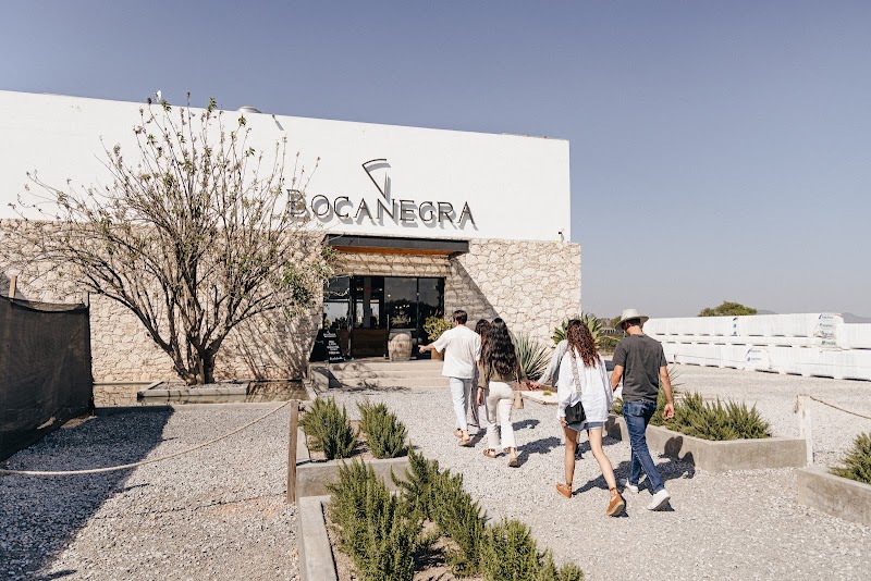 Cava De Quesos Bocanegra