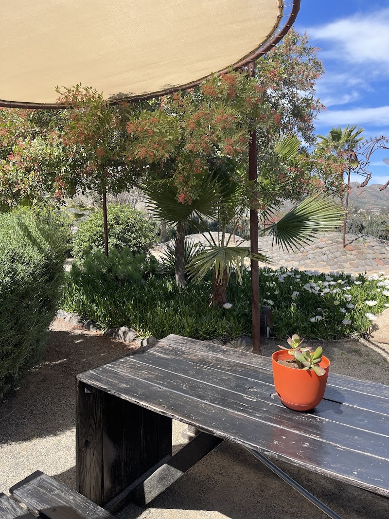 Food Truck Adobe Guadalupe