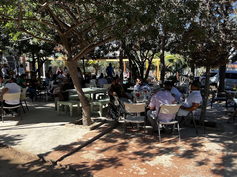 Jesusa - Restaurante en Valle de Guadalupe