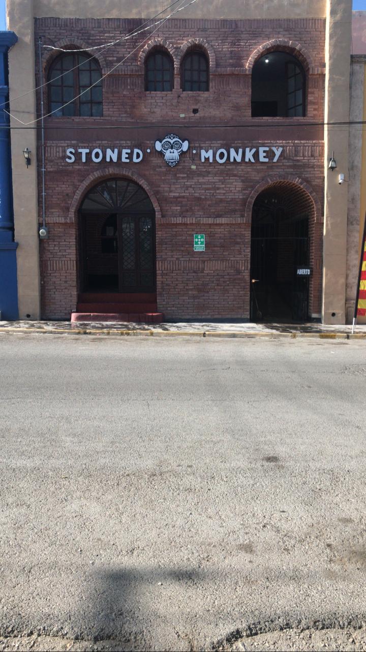 STONED MONKEY PARRAS