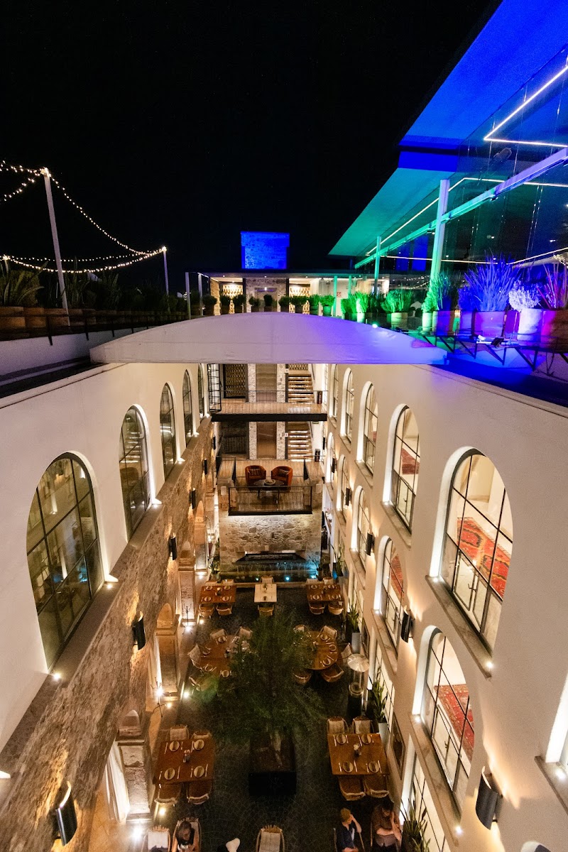 Tené Kitchen & Bar – Restaurante, sushi y terraza en San Miguel de Allende