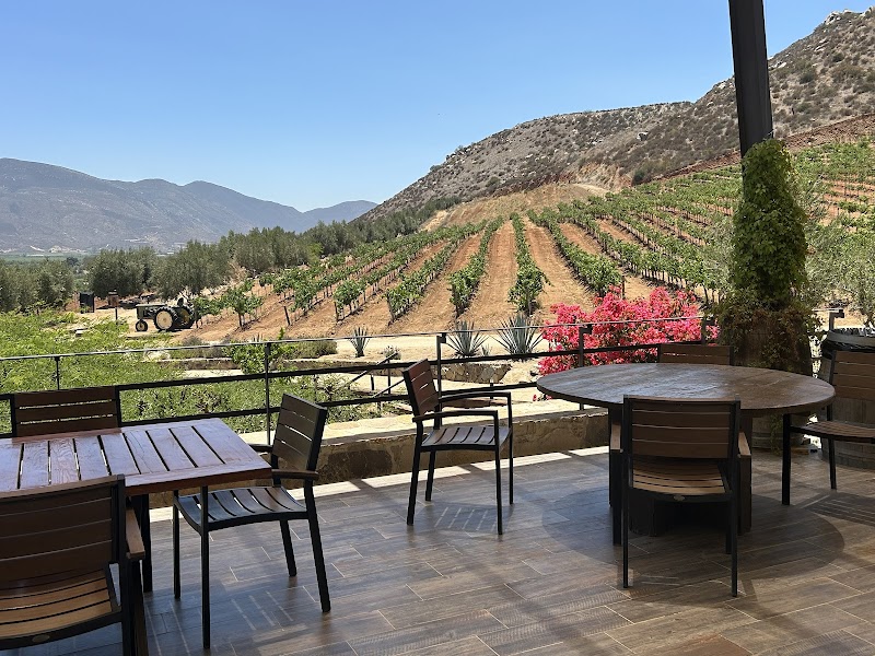 Viñedos de la Reina