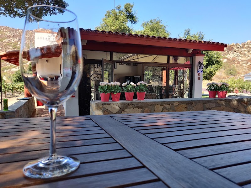 Vineyard Solar Fortún