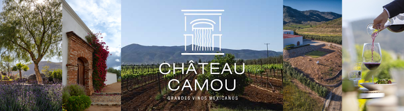 Vinícola Château Camou | Grandes Vinos Mexicanos Viñedo