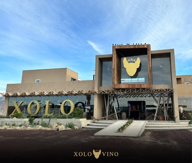 Xolo Wine