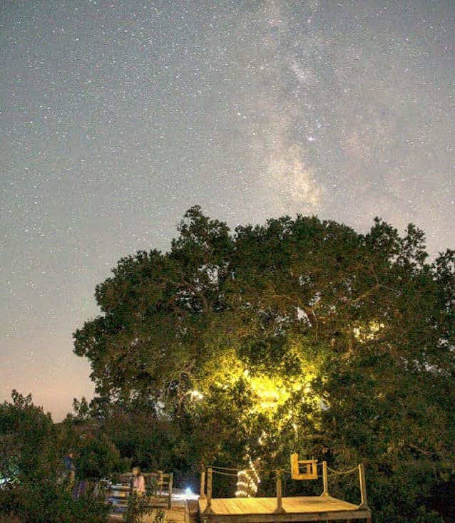 Baja Glamping photo 2