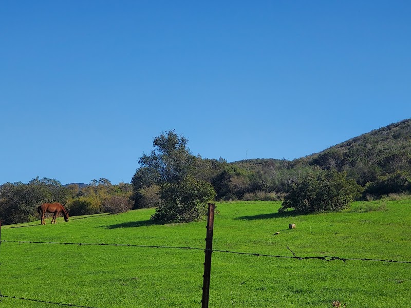 Baja Glamping photo 3