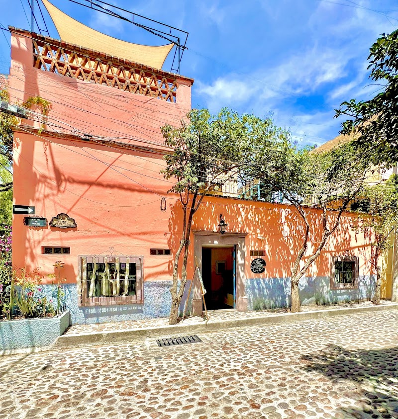 Boutique Hotel Casa Camellia. photo 3