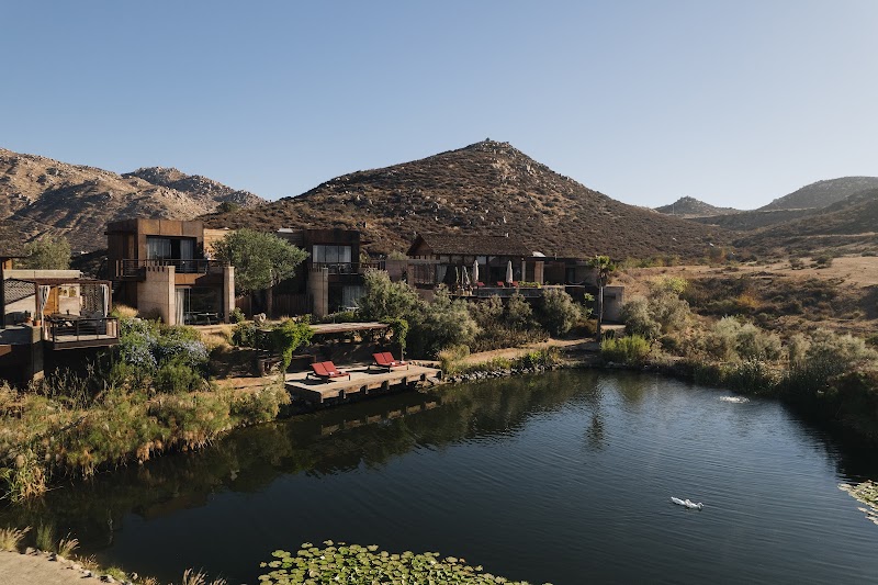 Bruma Valle de Guadalupe photo 4