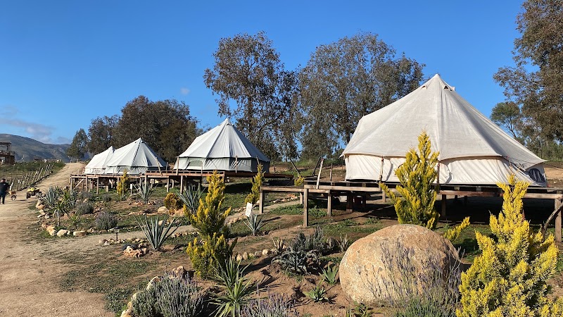 Cosmo Glamping photo 1