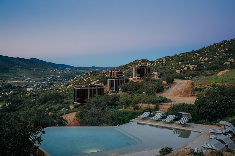 Encuentro Guadalupe photo 1