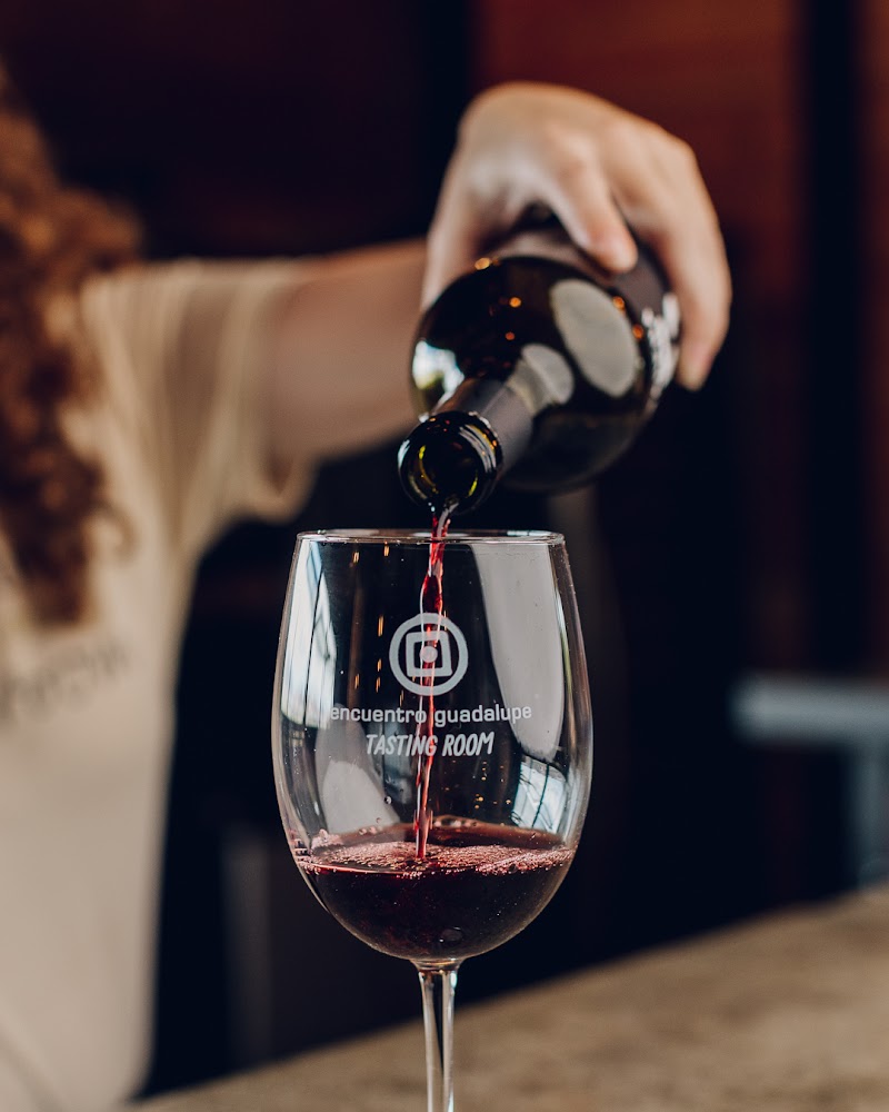 Encuentro Guadalupe photo 5