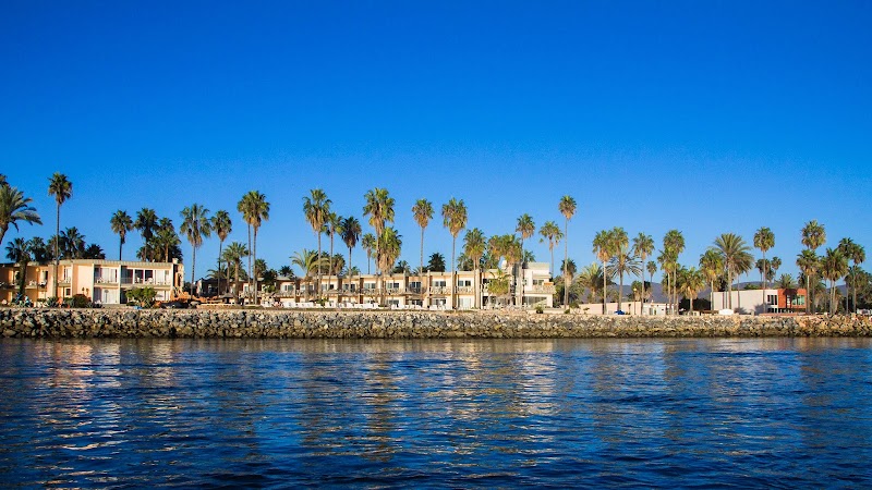 Estero Beach Hotel/Resort photo 3