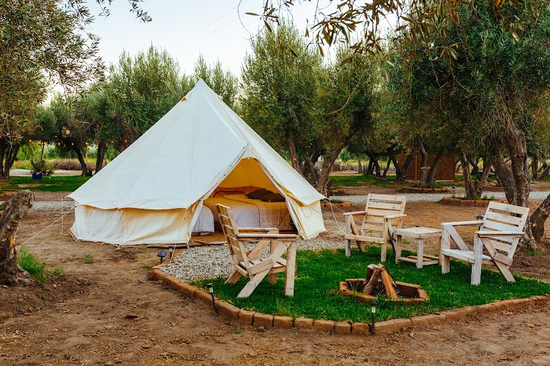 Guadalupe Valle Glamping photo 3