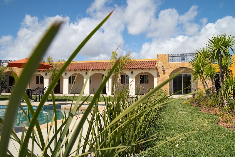 Hacienda Los Olivos photo 1