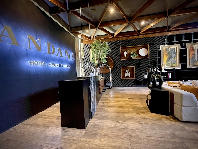 Hotel Andana photo 4