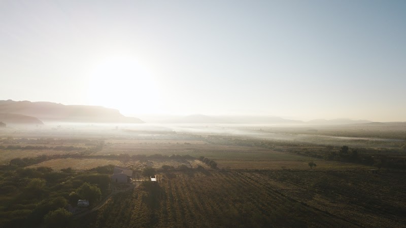 Hotel Los Amantes Valle de Guadalupe photo 4