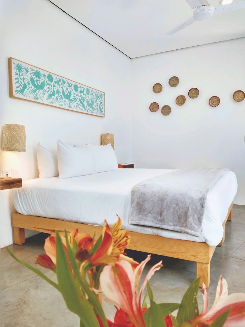Hotel Mamá Carlota photo 4