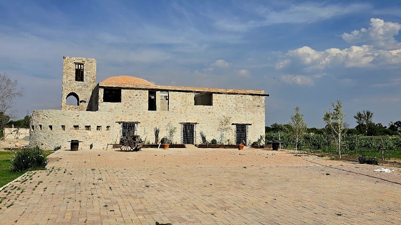 Hotel Viñedo Tierra de Alonso photo 4
