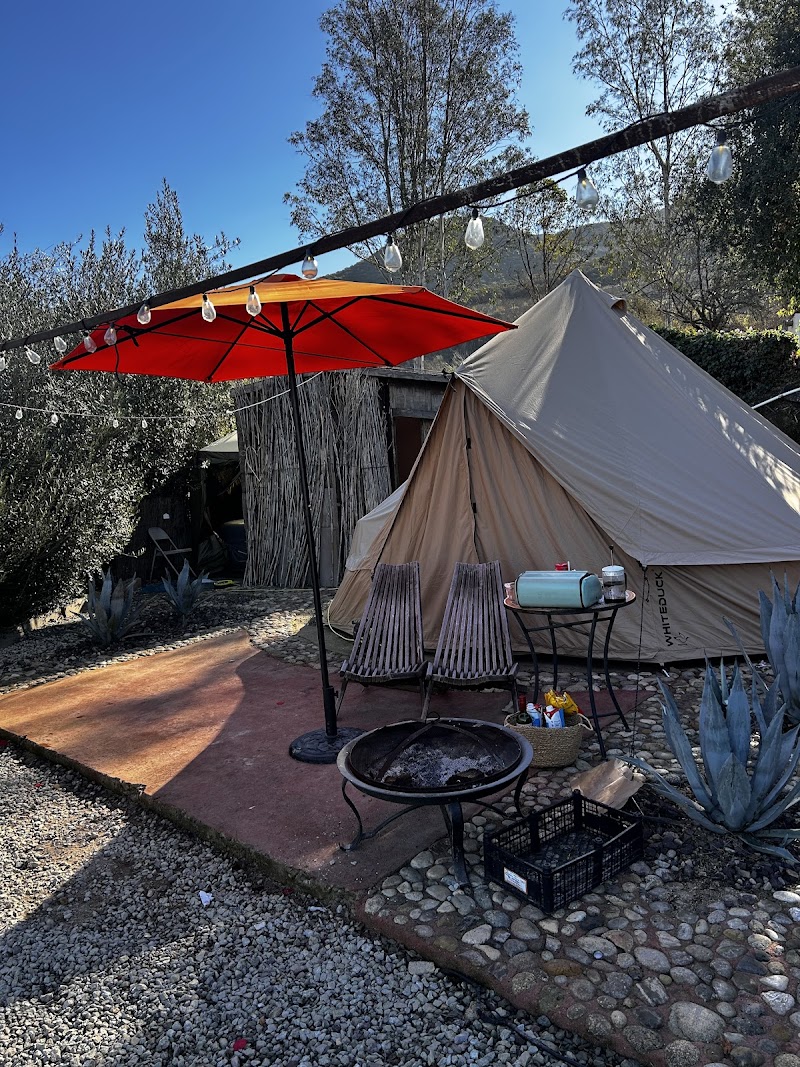 Indigo Glamping photo 4