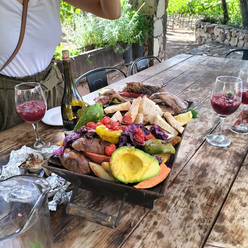 Nativo Vinicola photo 4