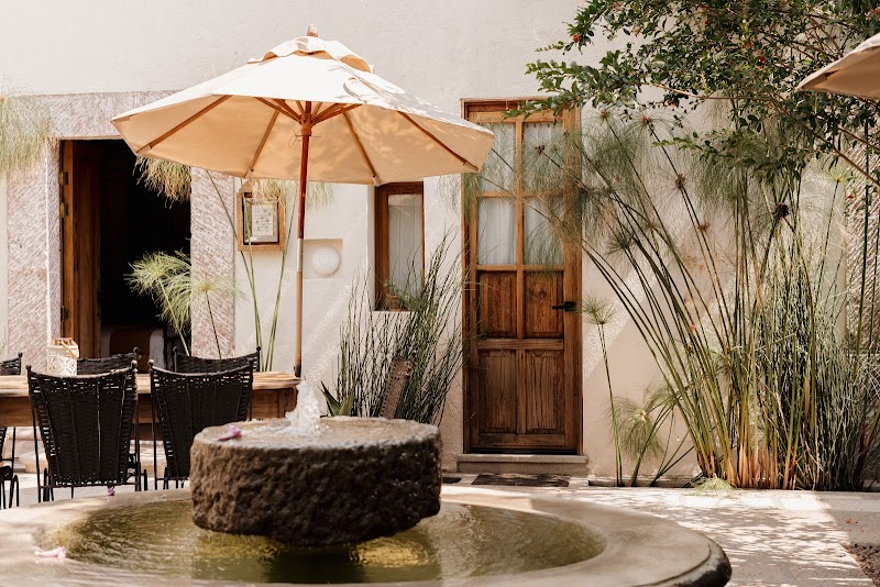 Orchid House San Miguel de Allende photo 1