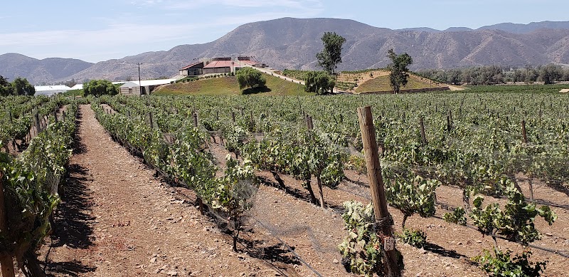 Valle San Vicente photo 1