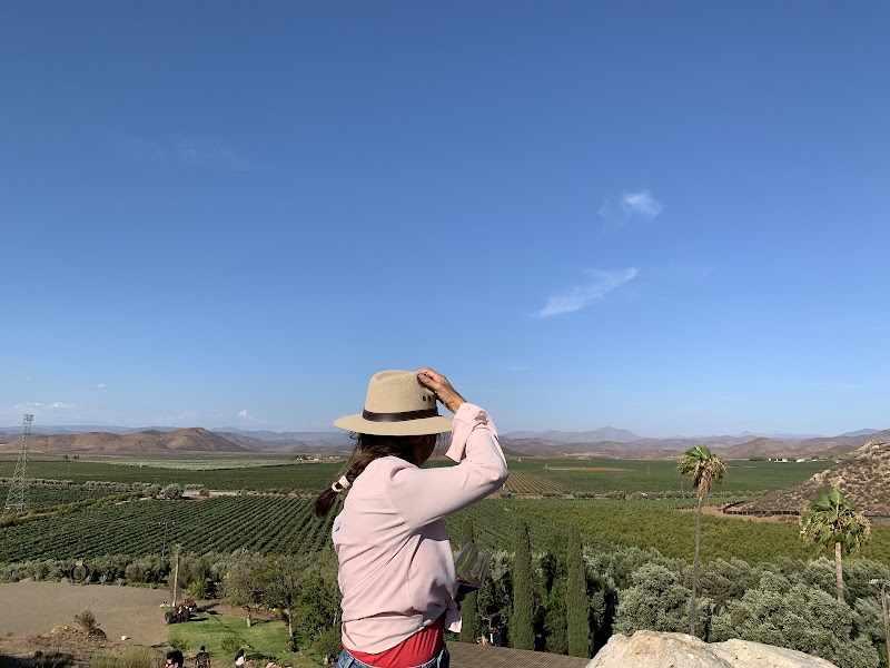 Valle San Vicente photo 3