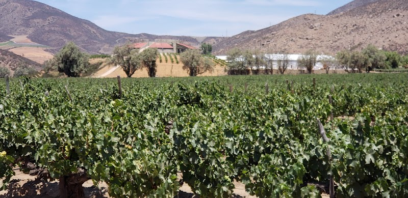 Valle San Vicente photo 4