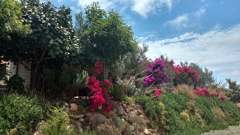 Vinofilia Wine Country Inn photo 4