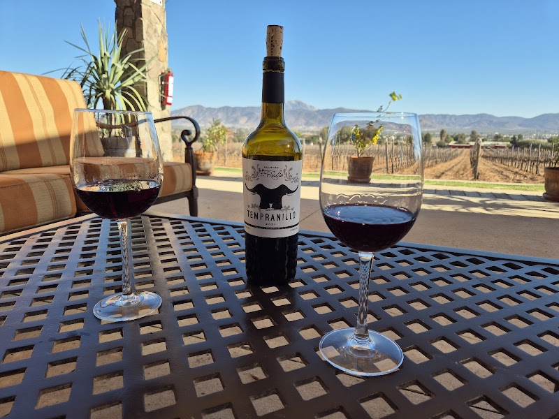 Vino Mexicano vs Vino de California: Comparación de Clima, Estilo y Precio 2026