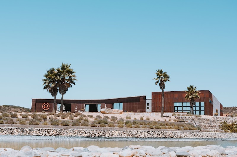 Guía Completa de la Región Vinícola de Querétaro: Viñedos de Altura y Bodegas 2026