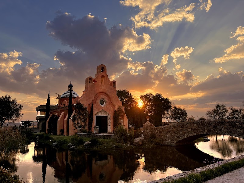 Cocina Baja Med y Maridaje: Guía Completa del Movimiento Farm-to-Table del Valle de Guadalupe