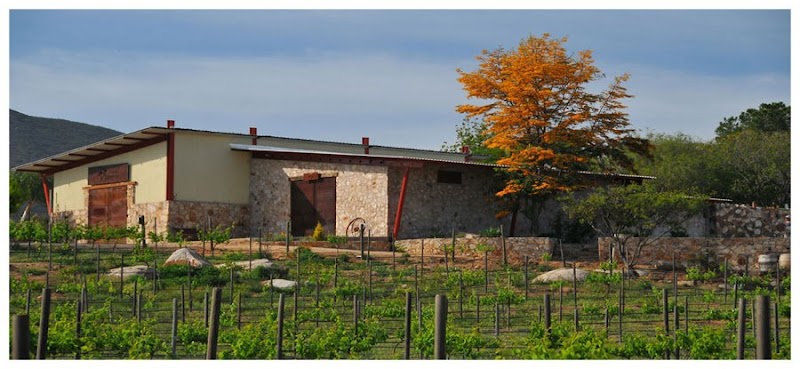 Vino Mexicano vs. Vino de California: Terroir, Estilos y Por Qué Valle de Guadalupe Rivaliza con Napa