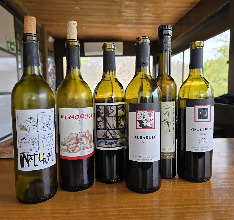 Cata de Vino en San Miguel de Allende: Guía de Bodegas y Bares de Vino de Guanajuato