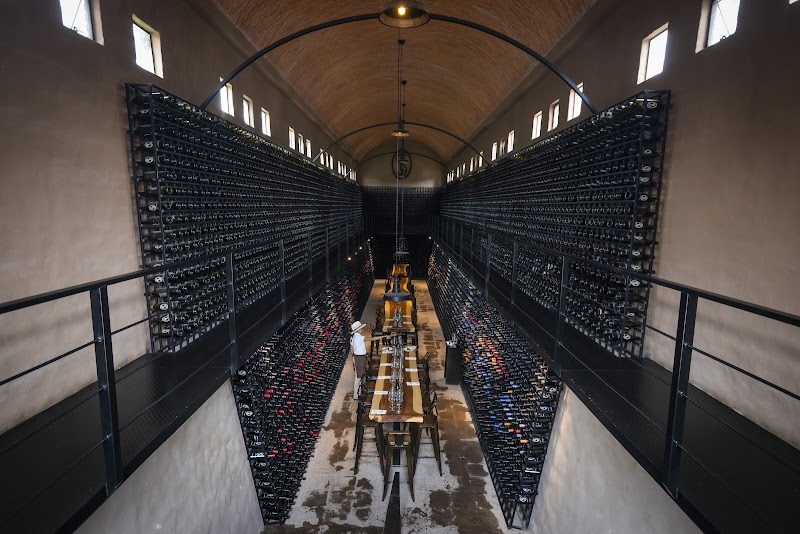 Mexican wine country