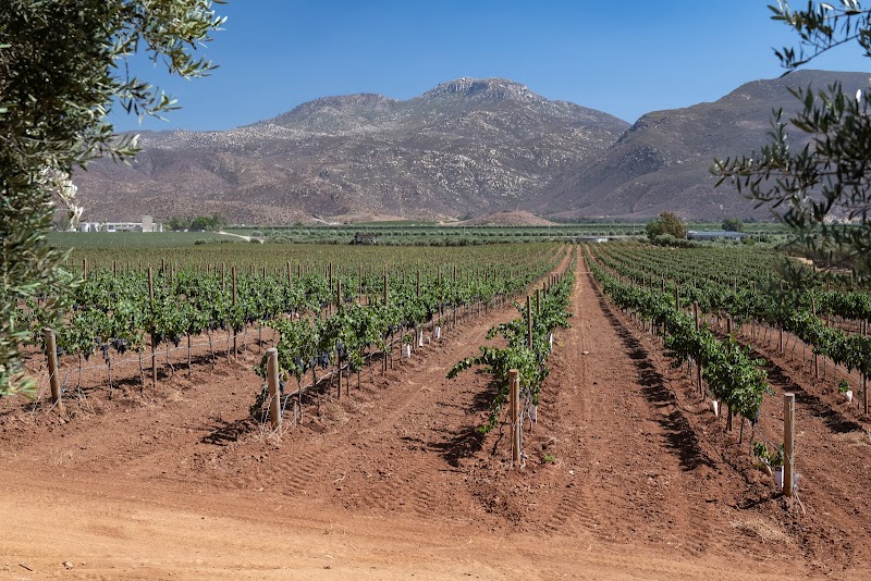 Adobe Guadalupe photo 3