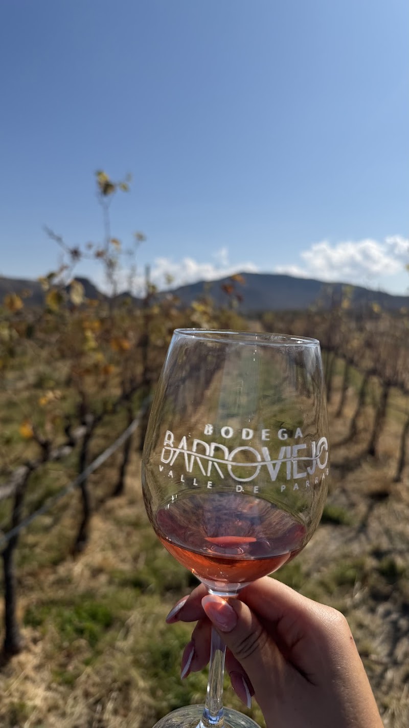 Bodega Barro Viejo photo 2