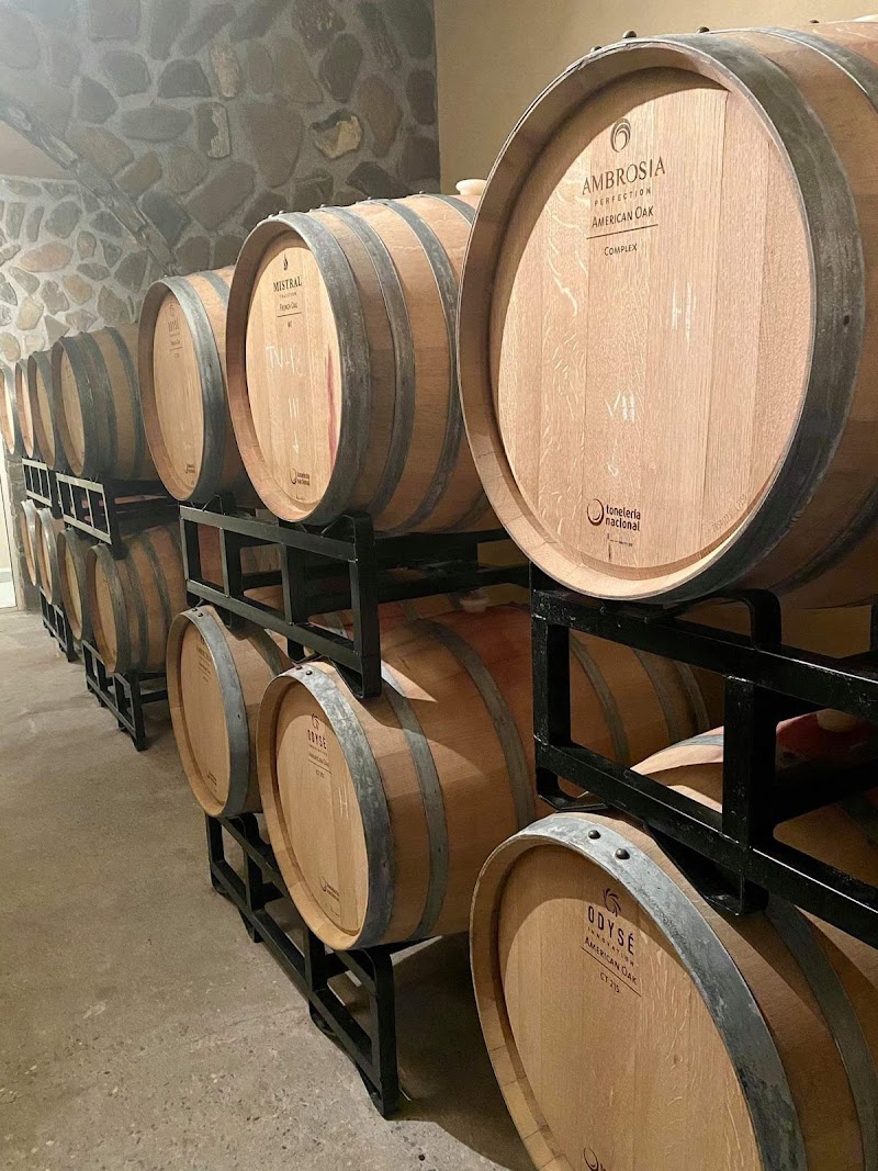 Bodega Barro Viejo photo 3
