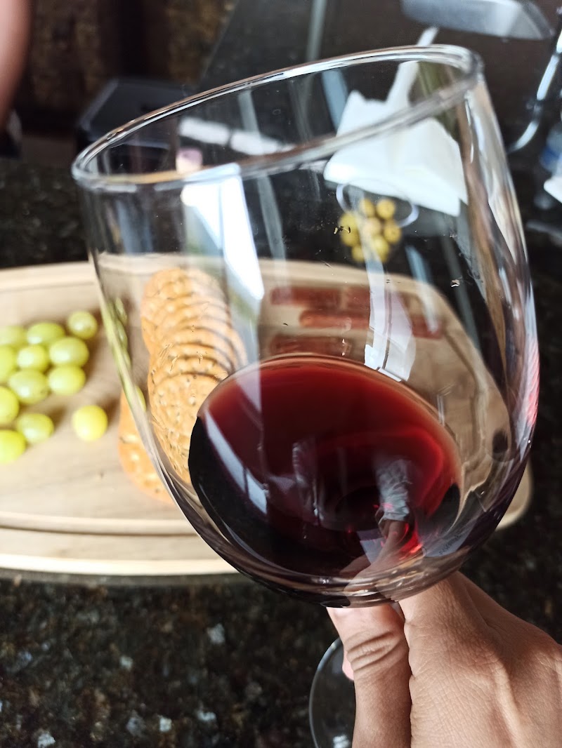 Bodega Barro Viejo photo 4