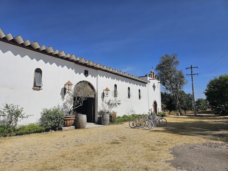 Bodega Dos Buhos photo 2