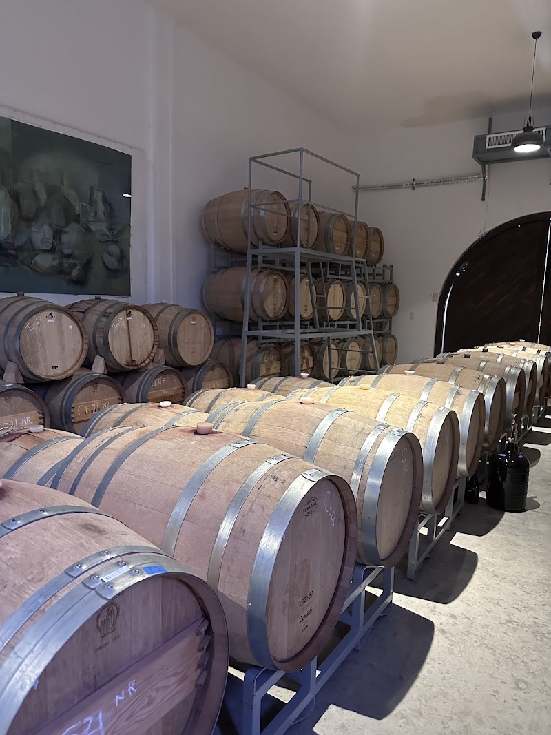 Bodega Dos Buhos photo 4