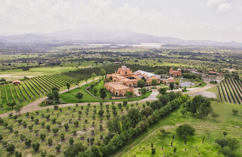 Bodega San José Lavista photo 1